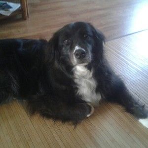 Meet your Posher, Barb